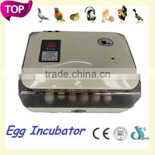 DFPets DFI006 Competitive price plastic incubator quail egg tray