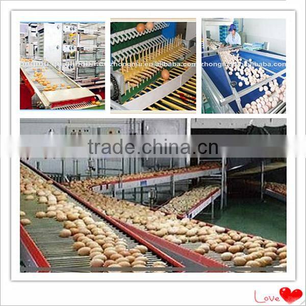 Hot galvanized metal chicken poultry shed farm equipment for chicken cage