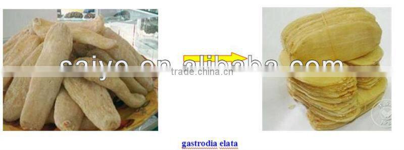 02 herb slice processing machine/Herb slice cutter machine/Herb slicing machine