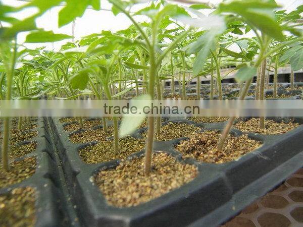 Cheap Best sell rice plant seedling tray for sale