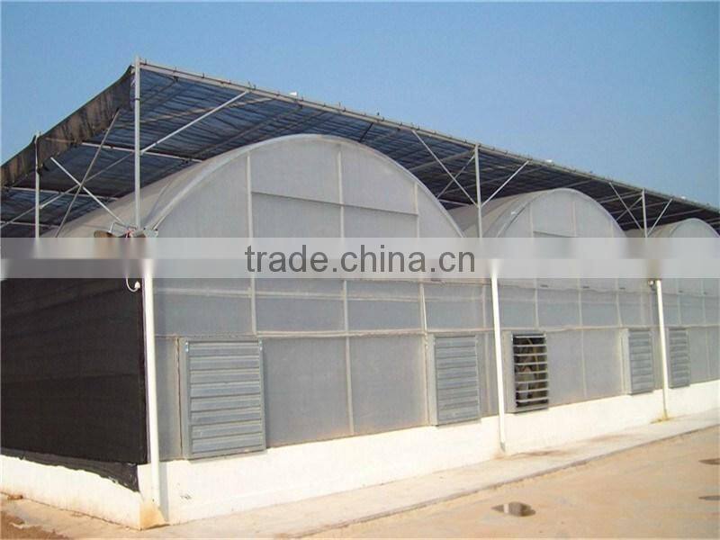 Ecnomic multi span greenhouse with UV film covering