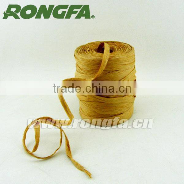 high quality green biodegradable plastic raffia string