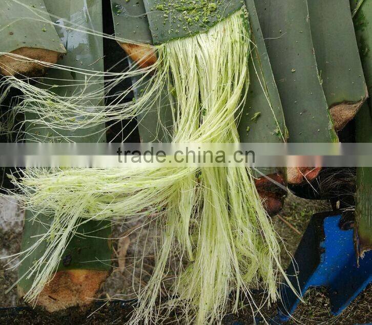 DLHL new product!! 100% natural sisal fiber/whiten sisal fiber/Coconut Fiber