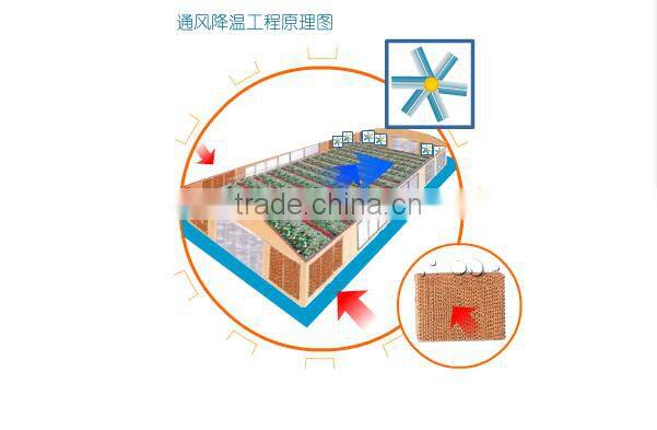 Commercial Greenhouse for agriculture