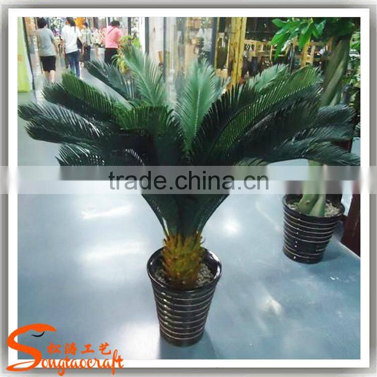 indoor evergreen ornamental plants cycas revoluta artificial fake plastic evergreen trees for home decor