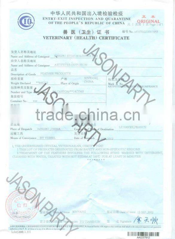 Carnival Accessories Party feather earrings Indian Feathers