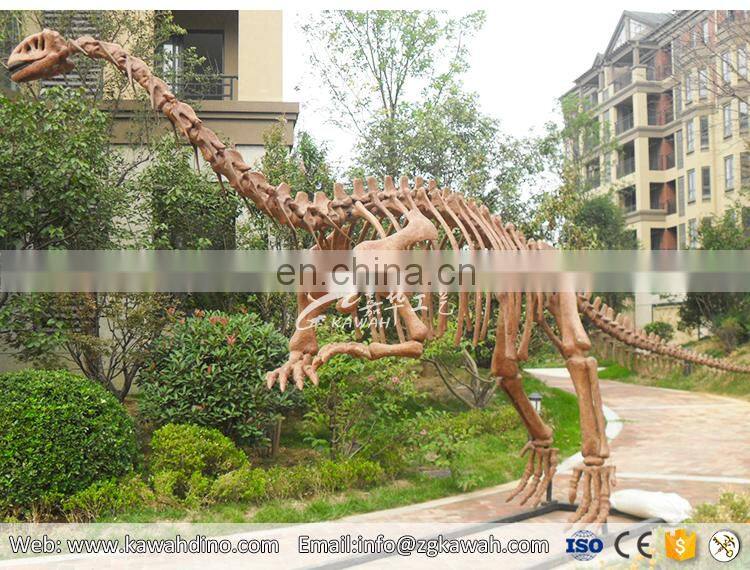 KAWAH Museum Exhibition Display Fake Fiberglass Dinosaur Bone