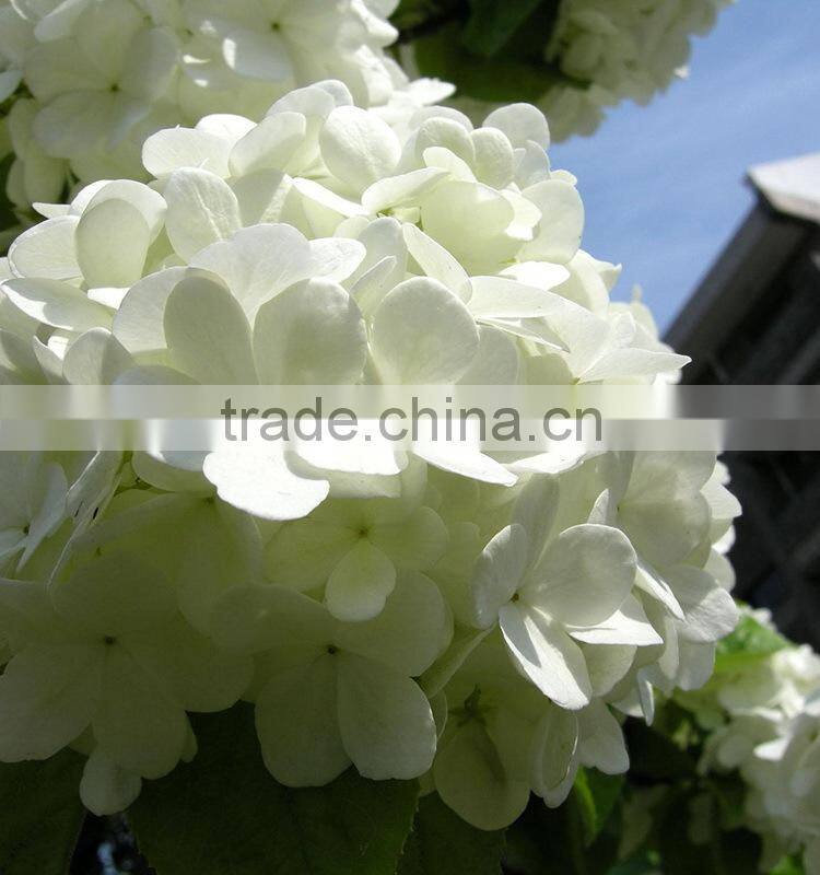 Newest OEM top sell white hydrangea bouquet