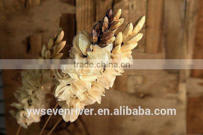 Didn't have chicken bell decorative flower simulation artificial flowers simulation flowers sitting room decorated the ground dr