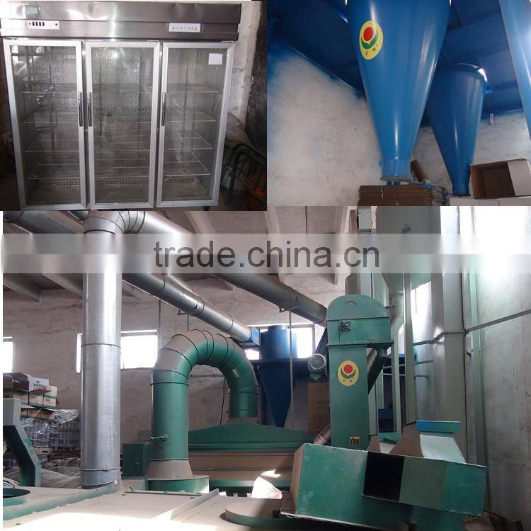 SHIJIA chinese watermelon hybrid seed