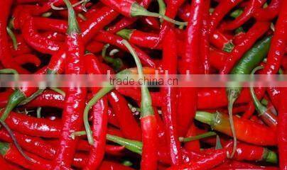 Best selling red chilli drying machine /fruit drying machine with factory price