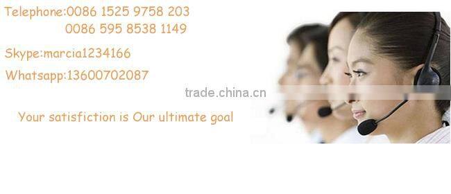 Gold Elastic Cord