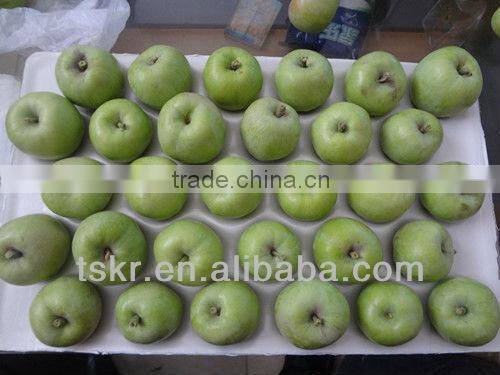 apple fruit fresh olden crisp apples non-bagged golden apples this year