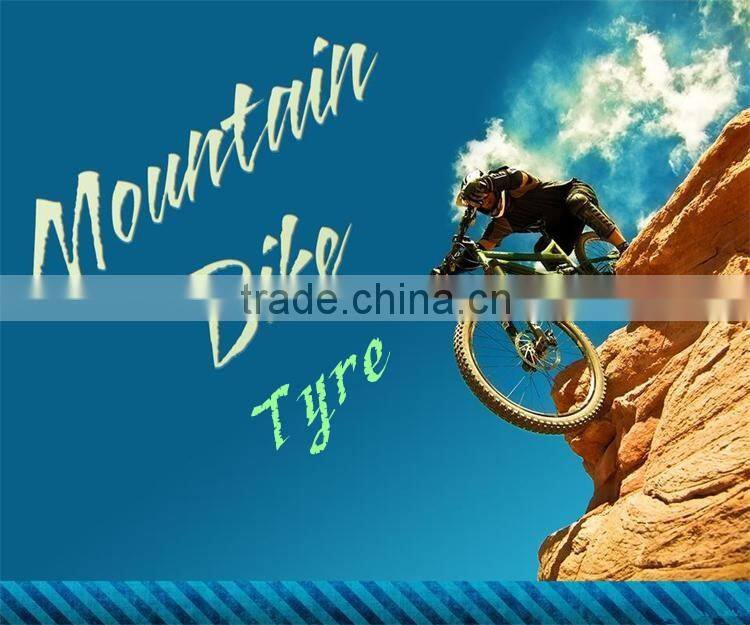 bicycle tire 20 1 3/8 ralighe