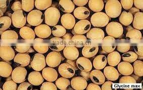 Food Grade Soy Bean Oil