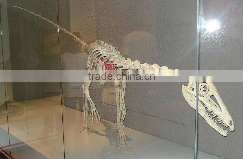 Science Exhibition Dinosaur Models Fiberglass Fossil Of Liliensternus
