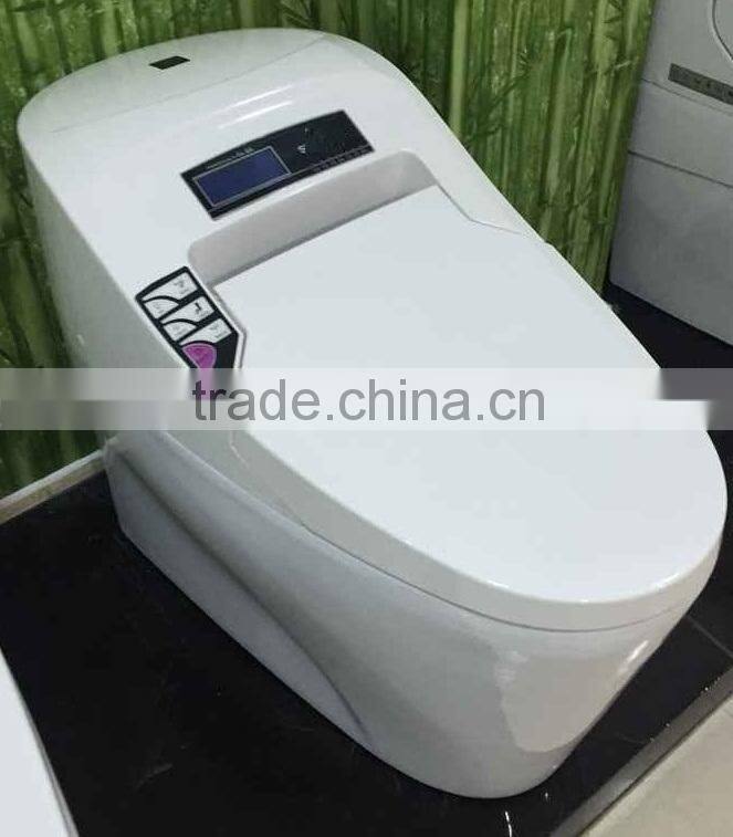 Warm water washing Automatic Operation Sanitary Ware Smart Toilet
