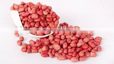 Red skin peanut kernels with good quality for sale