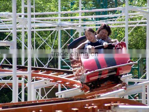 Outdoor Amusement Ride Park Adult Ride Roller Coaster for Sale