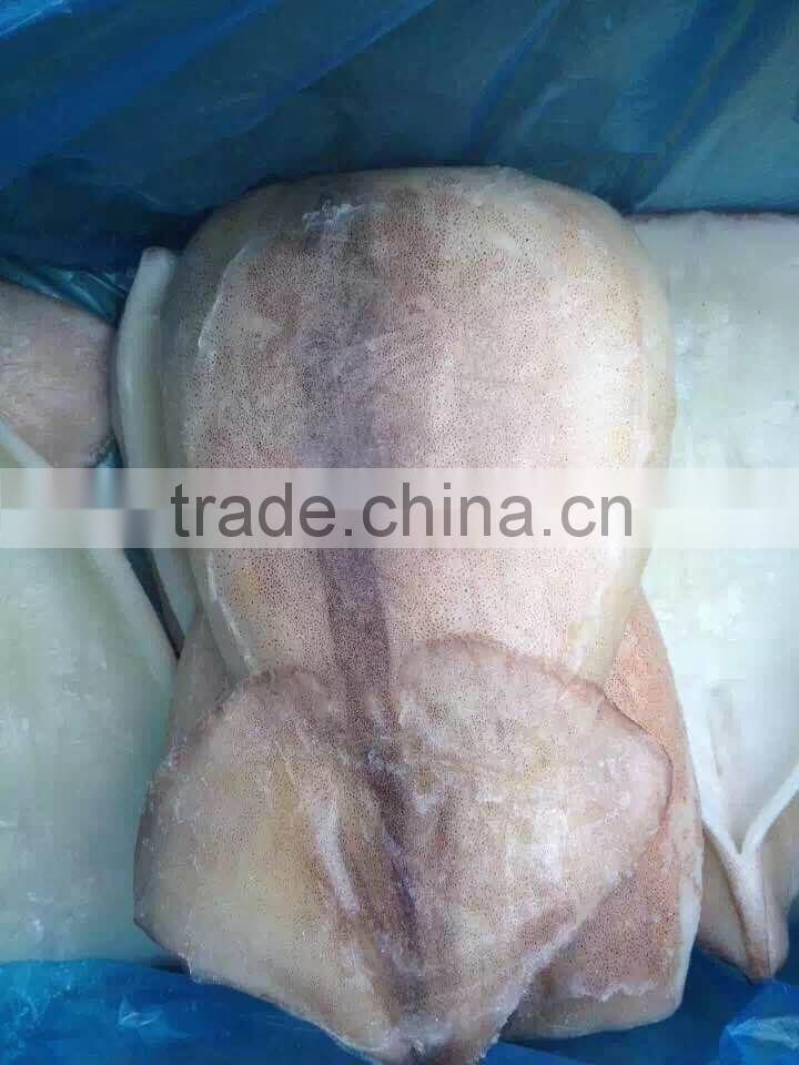 2016 Newly catch fresh high quality squid fillets from China