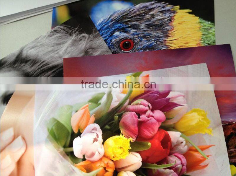 Cast Coated Cut Sheet Paper,Double side CC,160g,A4,A3,inch