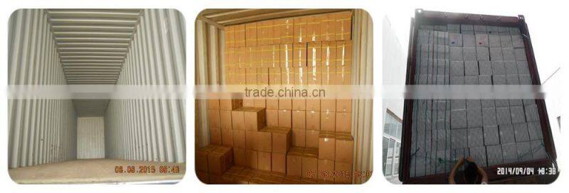 PE Disposable Clear Gloves