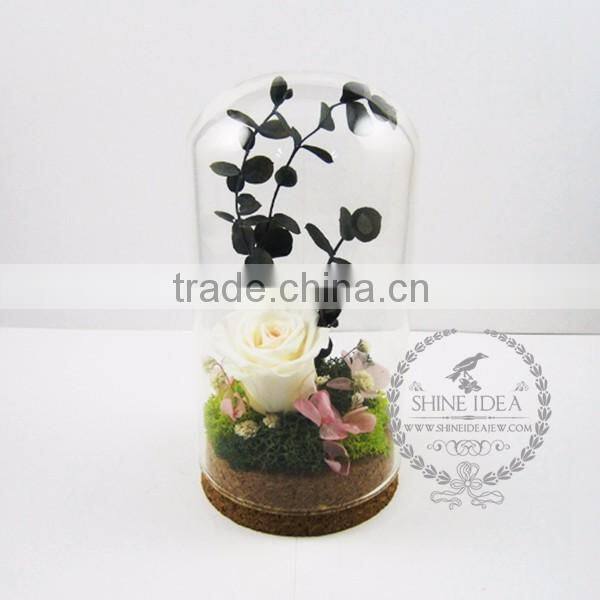 white rose dry preserved flower glass terrarium dome home decoration table centerpiece ornament indoor gardening 0120002