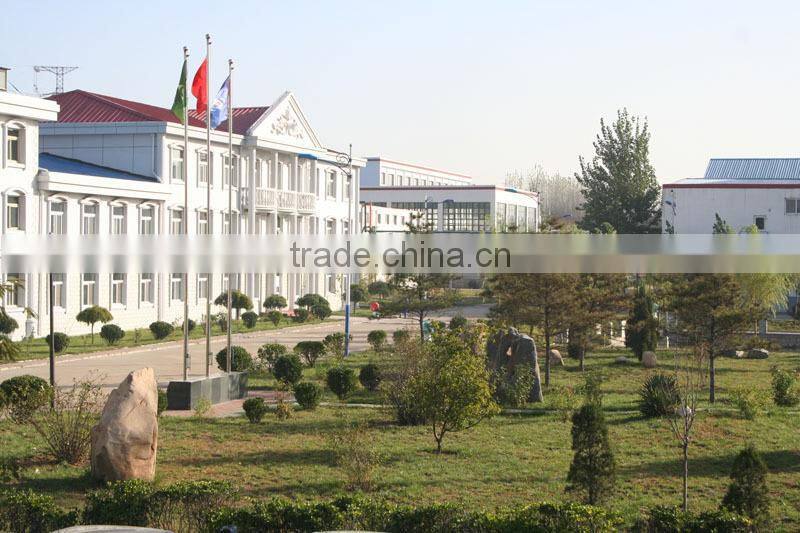 Wholesale 16oz Glass Honey Jars for Canning