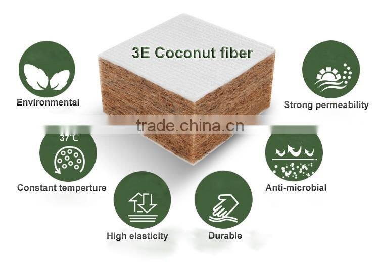 Comfort Spring Flora 10 Inch Thick Posture Spring Queen Mattress