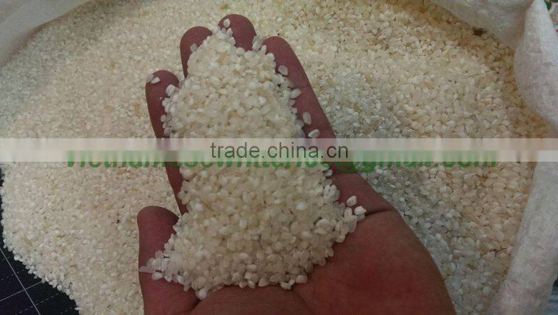 THE BEST QUALITY OF JAPONICA RICE 5% BROKEN - VINAFOOD1