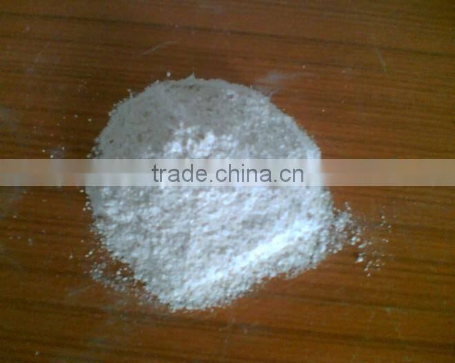 High Quality White Color Tapioca Powder for Sale