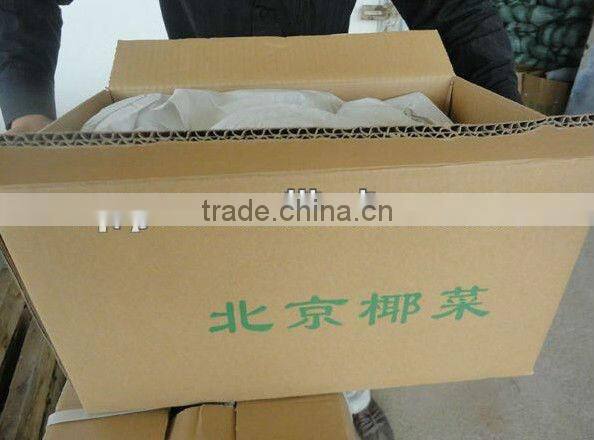 Fresh Beijing Cabbage