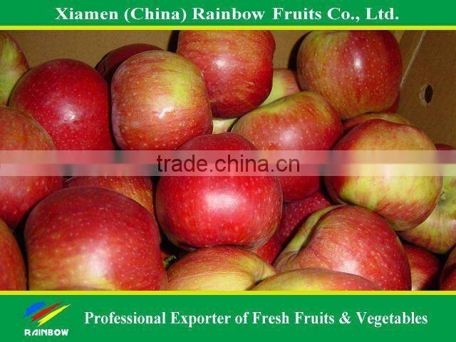 Chinese Red Apple