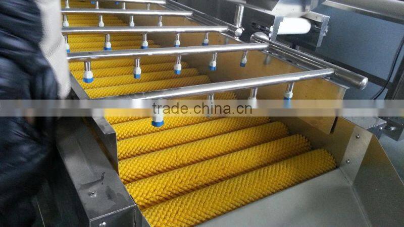 Hp-360 Vegetable And Fruit Brush Washing Washer And Drying Dryer Machine