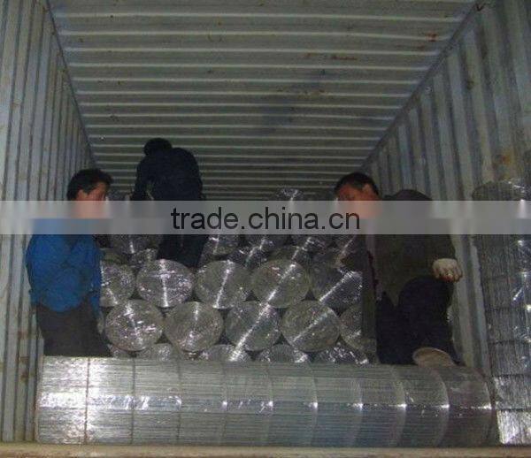 electro galvanized welded wire mesh( Direct Manufacturer)