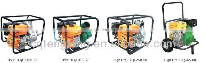 Agricultural Machinery Electric High Pressure Water Pump Home Use