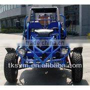 TK250GK-6 250cc Go Kart BUGGY