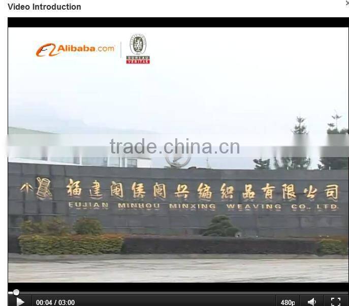 Hydroponic Indoor Growing Use Electronic Ballast 1000W With Fan