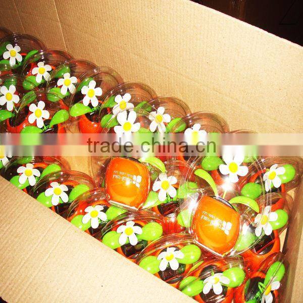 Hot Sale Mini Beautiful Quilling Flip Flop Solar Flower For Wholesale