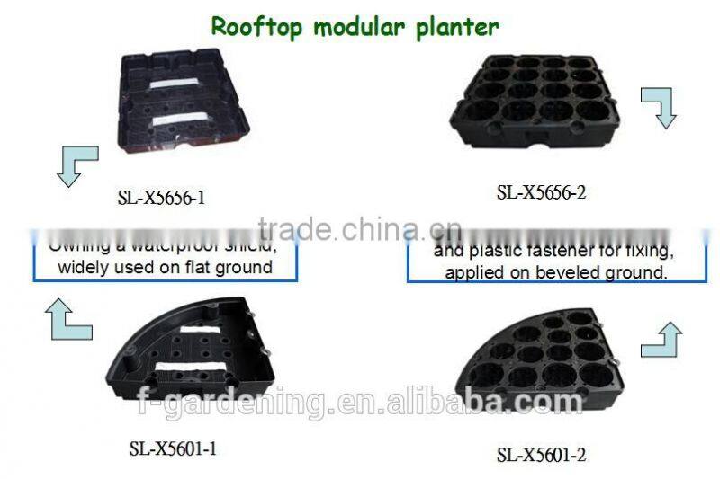 hydroponic systems rooftop garden flower pot