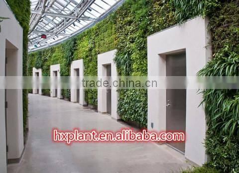 Chinese artificial plants factory,wholesale fake plant