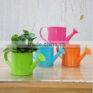 OEM service Kids Small Metal Watering Can/ Metal Garden Flower Pot