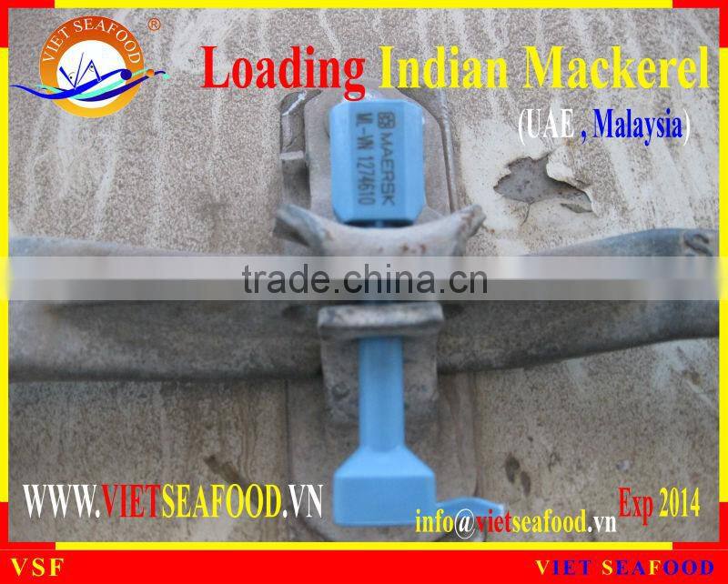 LOADING INDIAN MACKEREL