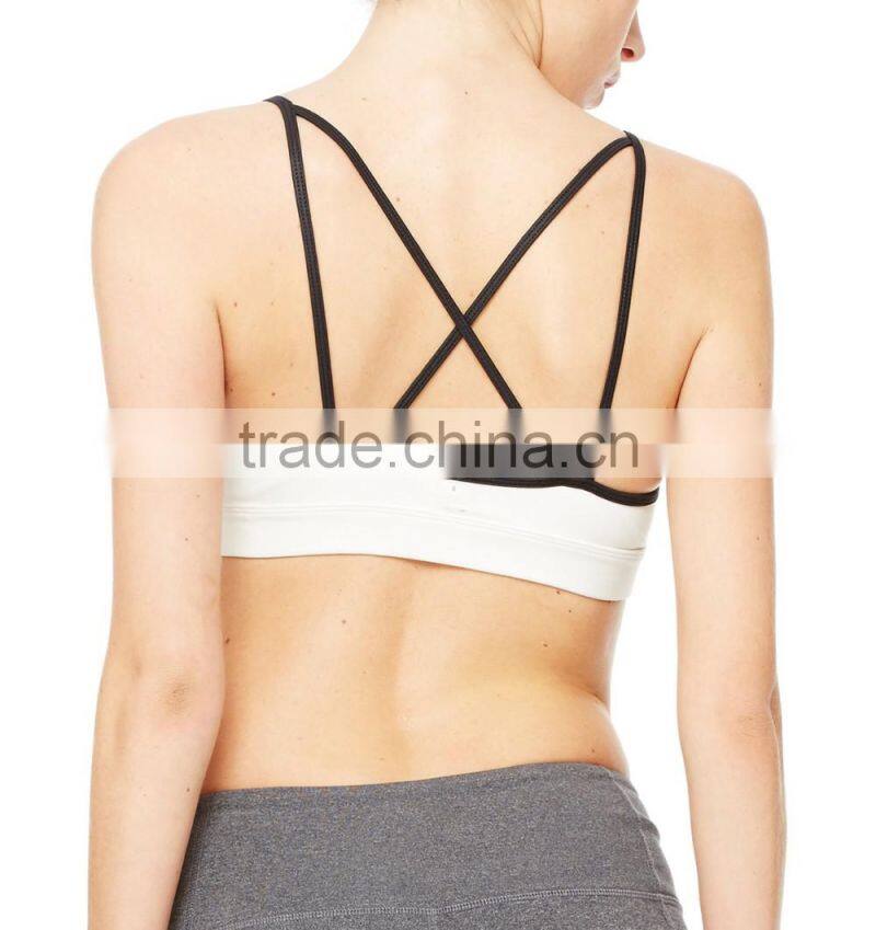 Women Fitness Gym Wear Sexy Padded Sports bra with Mesh Insert