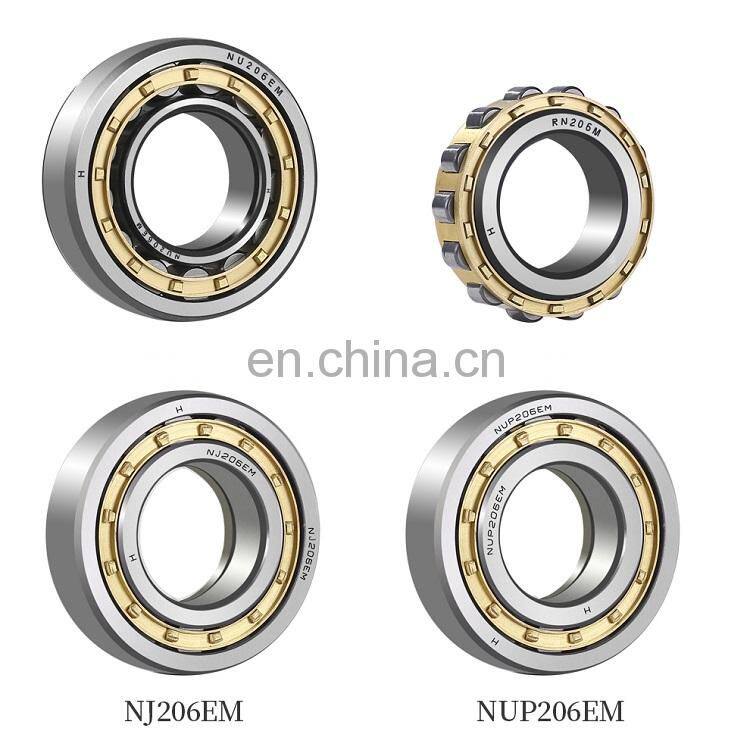 Hot Selling Factory Price Silver NU216 Double Row Cylindrical Roller Bearing Carbon RN309