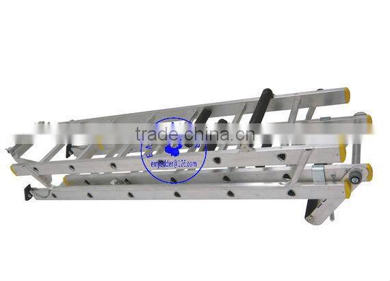 Conservatory Ladders