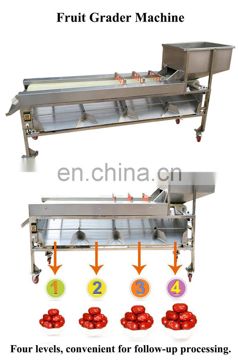 Full Automatic dragon fruit sorting machine cleaning sorter belt sorting equipment