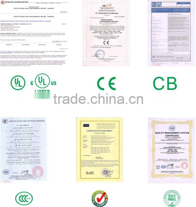 induction high bay light