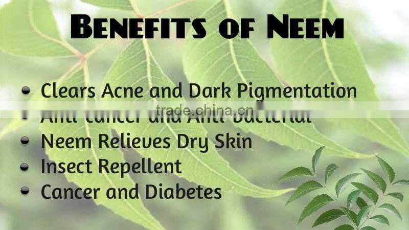 Organic Pure Neem Leaf Powder Bulk Producers