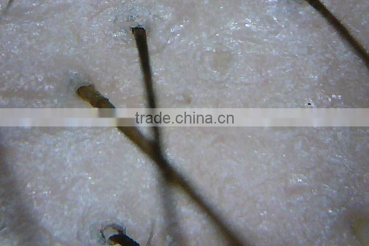 400X AV Digital Microscope Endoscope Magnifier Camera TV Out 2.0MP With 8 LED,XR-M400B, White